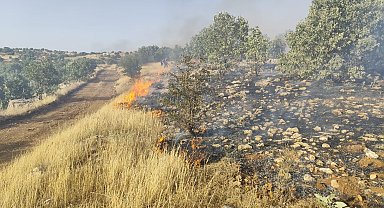 Mardin'de örtü yangını