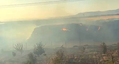 Mardin'de saman yangınında 25 dönümlük fıstık bahçesi zarar gördü