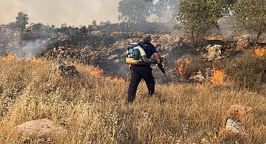 Mardin'in 3 ilçesinde çıkan örtü ve anız yangınları söndürüldü