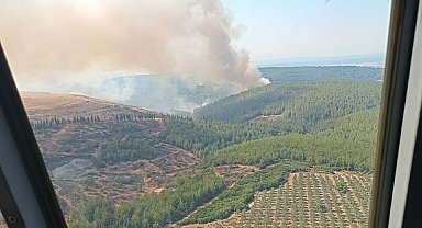 Menderes'te orman yangını