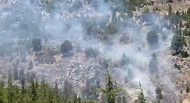 Mersin'de orman yangını