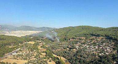 Milas'ta çıkan yangın söndürüldü