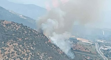 Milas'ta makilik ve tarım arazisinde yangın