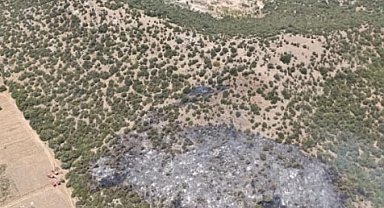 Milas'ta makilik ve tarım arazisinde yangın