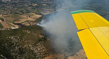 Muğla'da orman yangını