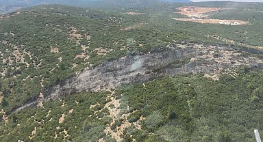 Muğla'da orman yangını