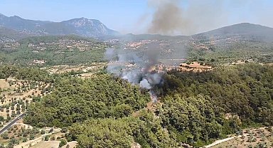Muğla'da orman yangını