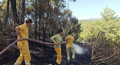 Muğla'da orman yangını