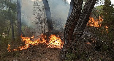 Muğla'da yıldırım düşmesiyle 11 noktada orman yangını çıktı