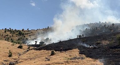 Muş'ta ot yangını, 2 saatte söndürüldü
