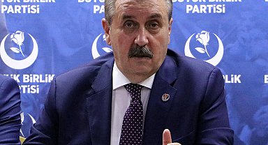 Mustafa Destici: Köpeklerimizi sokaklarımızdan temizleyelim