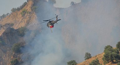 Nazilli'de çıkan yangın kohtrol altına alındı