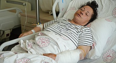 Niğde'de kadına saldıran Rottweiler cinsi köpeklerin sahibi serbest