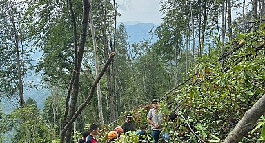 Orman işçisi ağaçlara damgalama yaparken uçuruma yuvarlandı