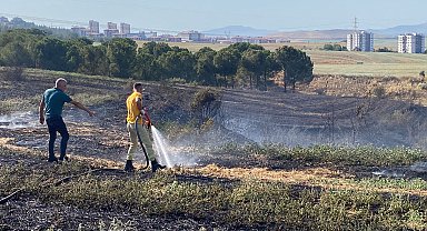 Osmaniye'de anız yangını ormana sıçramadan söndürüldü