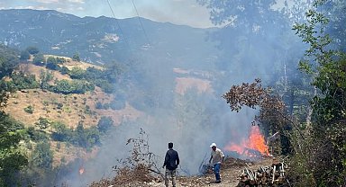 Osmaniye'de orman yangını