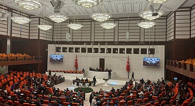 Sahipsiz sokak hayvanları düzenlemesi, TBMM Genel Kurulu'nda