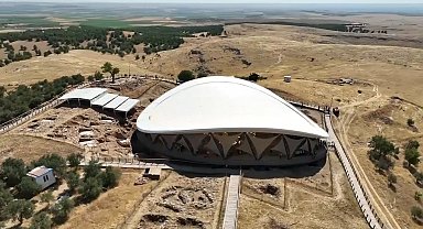 Şanlıurfa'daki Göbeklitepe'de ağaç dikme iddialarına yalanlama