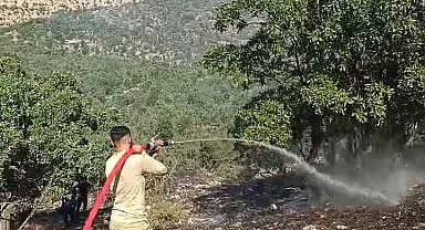 Siirt'te örtü yangını