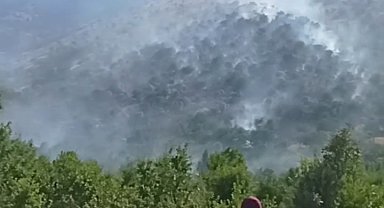 Siirt'te örtü yangını