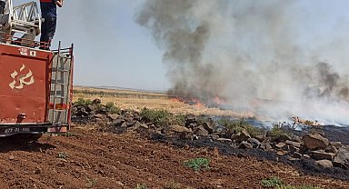 Şırnak'ta anız yangını; 7 saatte söndürüldü, 100 dönüm alan zarar gördü