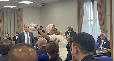 Sokak hayvanları teklifinin komisyon görüşmeleri de tartışmalı başladı