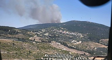 Soma'da orman yangını