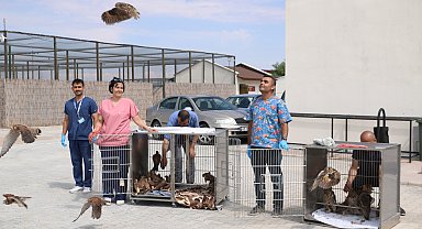 Tedavi ve rehabilitasyonu tamamlanan 60 kuş doğaya salındı