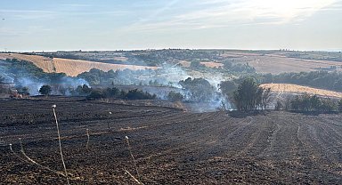 Tekirdağ'da anız yangınında 100 dönüm tarım alanı zarar gördü