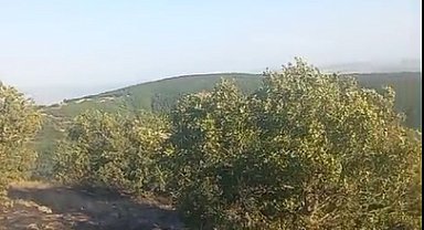 Tokat'ta otlukta başlayıp ormana sıçrayan yangın 2 saatte söndürüldü