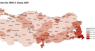TÜİK: İşsizlik oranı en yüksek il Hakkari, en düşük il Sinop