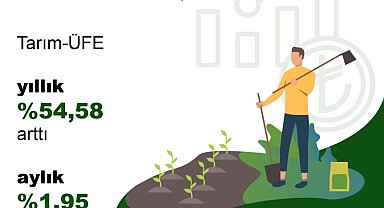 TÜİK: Tarım üretici fiyatları aylık yüzde 1,95, yıllık yüzde 54,58 arttı