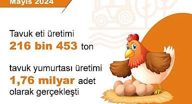 TÜİK: Yumurta üretimi arttı, tavuk eti ve içme sütü üretimi azaldı