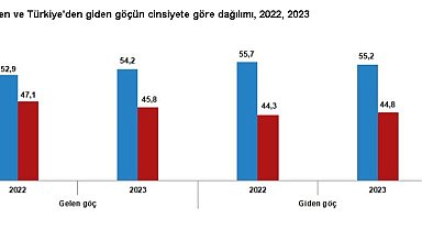 Türkiye'den yurt dışına göç arttı