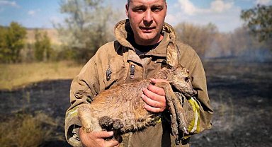 Ukrayna'da 24 saatte 343 orman ve çalı yangını çıktı