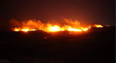 Urla'da orman yangını