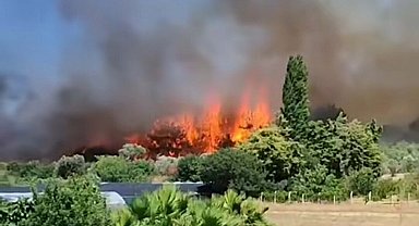 Urla'daki anız yangını korkuttu; alevler, akaryakıt istasyonuna 200 metre kala kontrol altına alındı