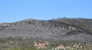 Urla'daki orman yangını 2'nci gününde