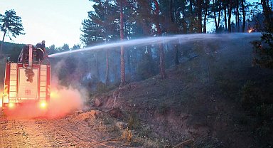 Uşak'ta 2 ayrı yerdeki orman yangınları 17 saate kontrol altına alındı
