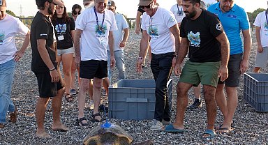Uydu izleme cihazı takılan kaplumbağalar, denize bırakıldı