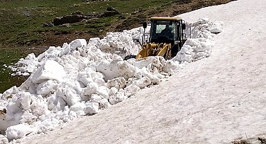 Van'da kardan kapalı olan yayla yolları açıldı