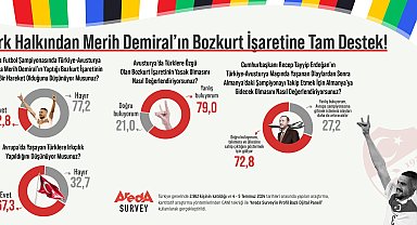 Vatandaşların yüzde 77,2'si Merih Demiral'ın bozkurt işaretini ırkçı bir hareket olarak görmüyor