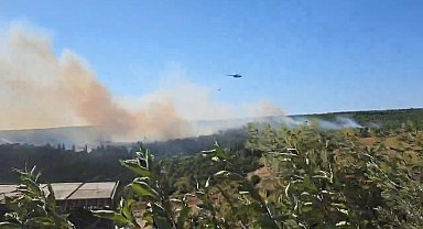 Yalova'da 2 ayrı noktada orman yangını