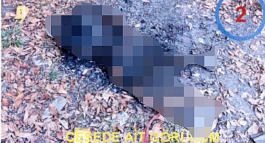 Yanmış cesedi bulunan Afgan madenci davasında ocak sahibi çalışanını suçladı