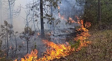 Yıldırım düşen ormanda çıkan yangın, erken müdahaleyle söndürüldü