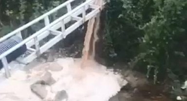 Zehirli atıklarını dereye boşaltan beyaz et üretim firmalarına milyonluk ceza