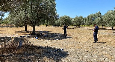 Zeytinlikte ölü bulundu