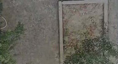 3 yavru kediyi, mutfağına girdiği için öldürmüş