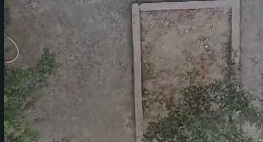 3 yavru kediyi sopayla vurarak öldürdü, o anlar kamerada