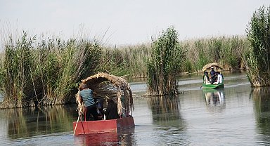 301 kuş türünün bulunduğu Sultan Sazlığı'nda kayıklı gezi